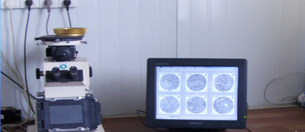 Gold mutually microscope
